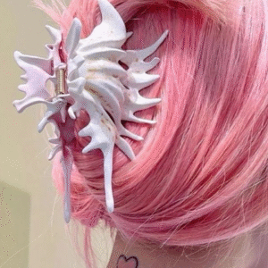Seashell accessories
